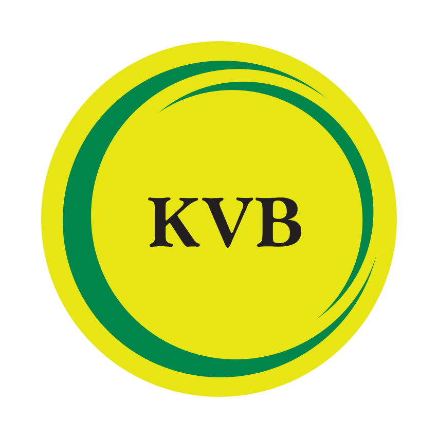 kvb-dlite-icon